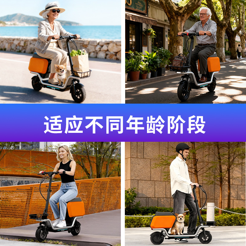 Adult Escooter electric scoote - Electrical 评论和价格